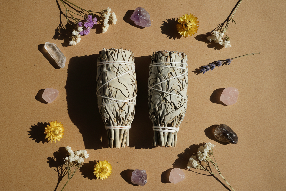 White sage vs blue sage: What’s the difference and when should you use each?